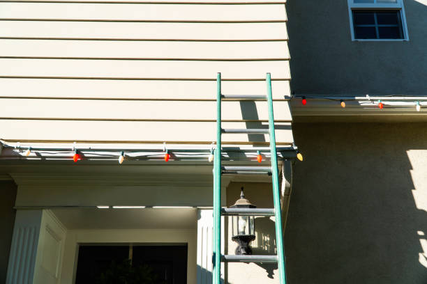 Best Brick Veneer Siding  in Canyon Creek, WA