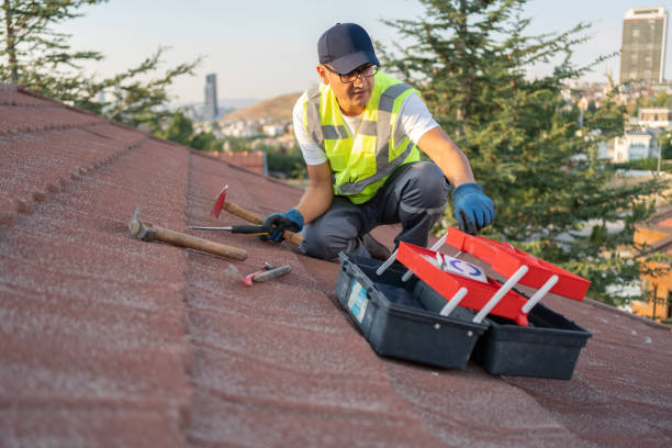 Best Custom Trim and Detailing for Siding  in Canyon Creek, WA
